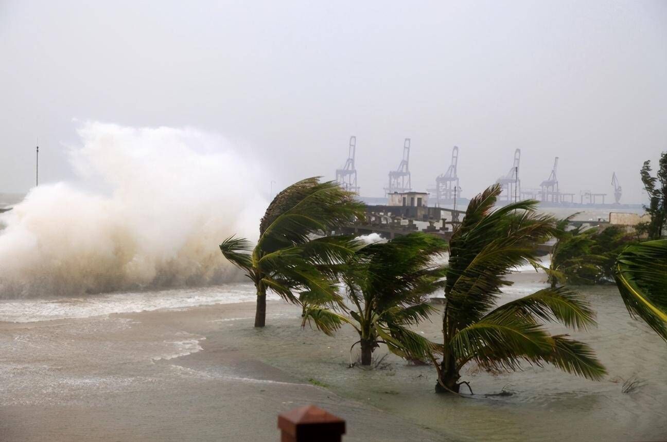 下半年将有6～8个热带气旋影响海