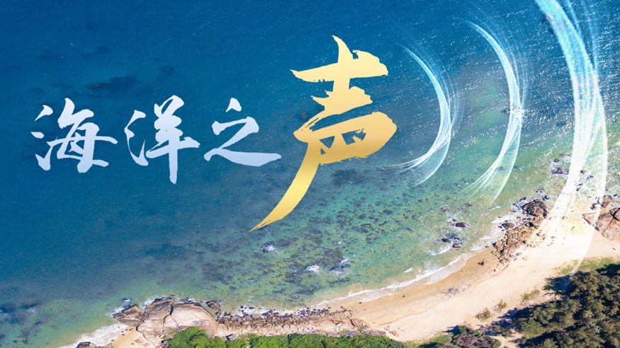 微视频丨海洋之声